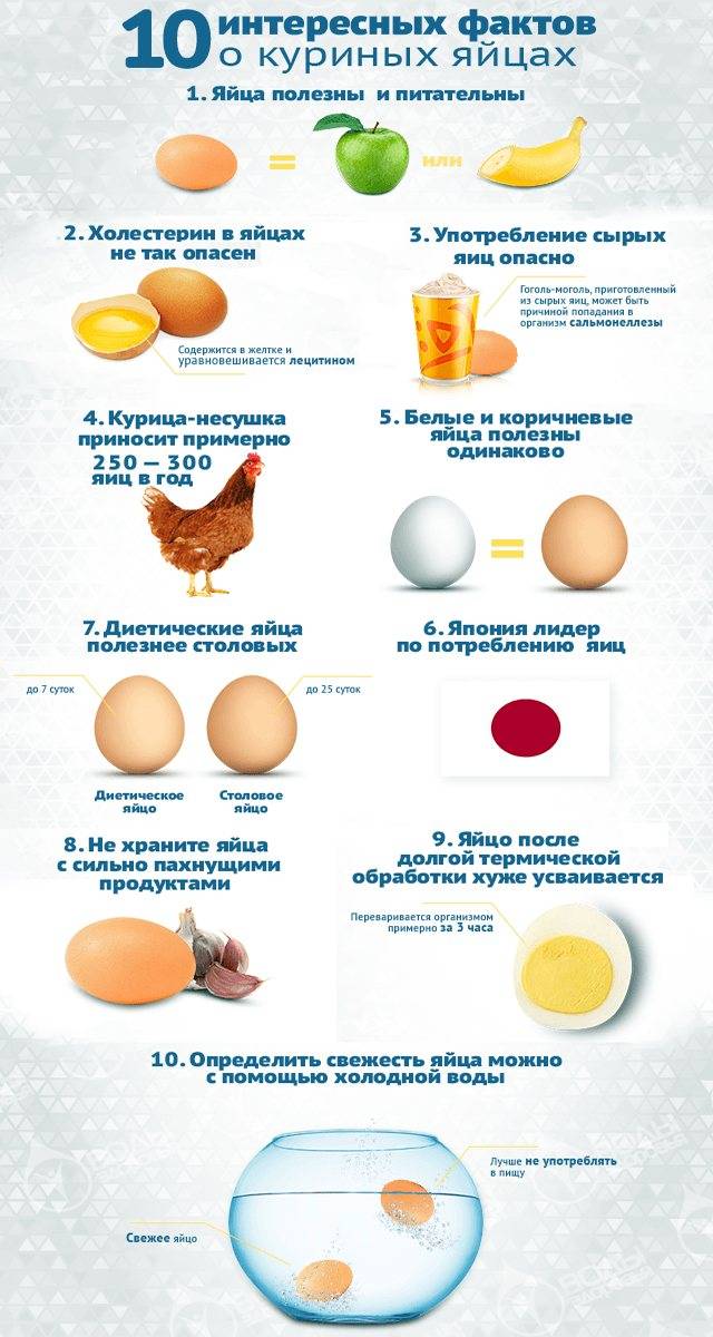 Яйца повышают холестерин или нет?