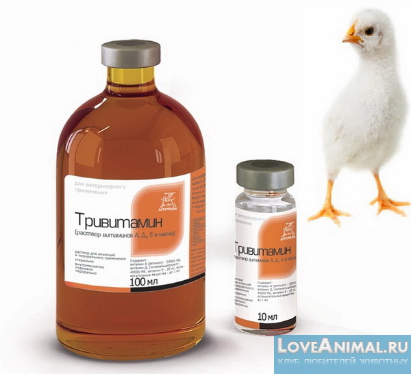 Тривит для цыплят и молодок — как применять тривитамин?