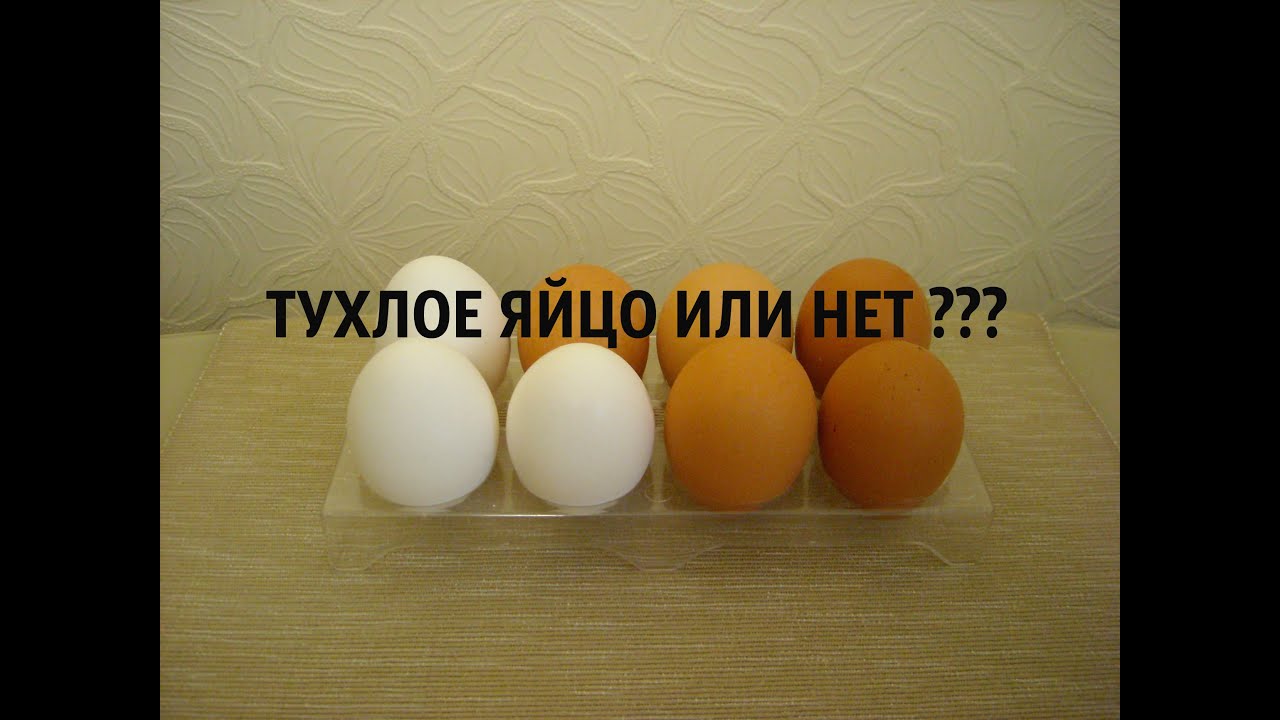 Как проверить яйца на свежесть – способы и видео