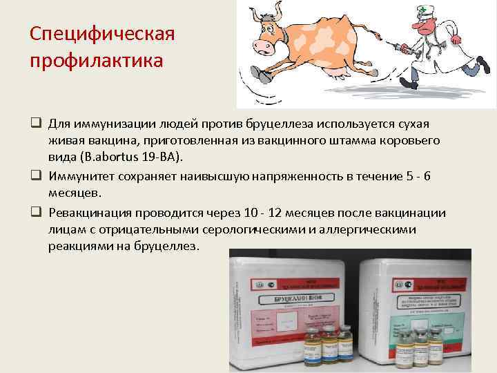 Акваприм – инструкция по применению антибиотика для птиц и животных