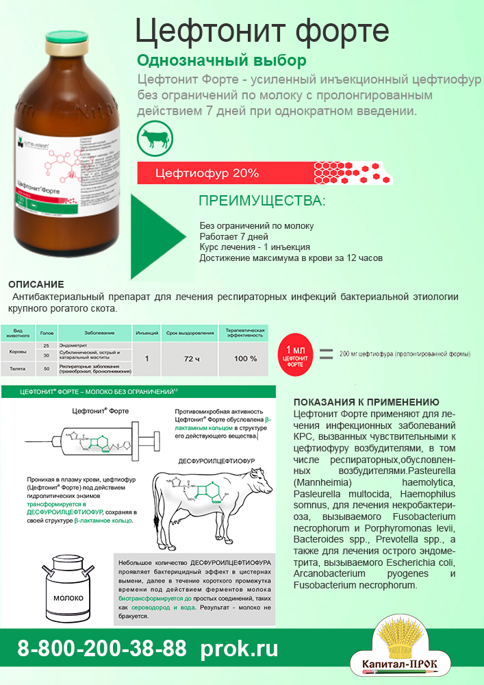 Лексофлон OR - антибиотик для лечения заболеваний бактериального происхождения кур и свиней