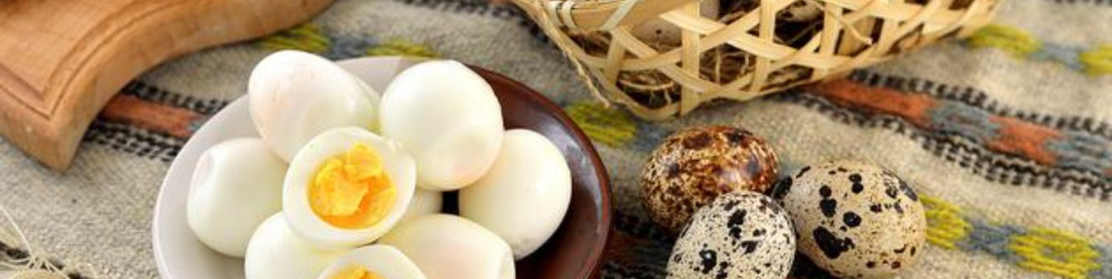 Яйца перепелки – полезные свойства, сравнение с куриными