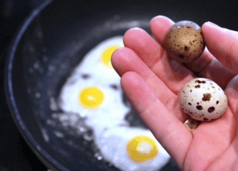 Польза и вред перепелиных яиц для детей