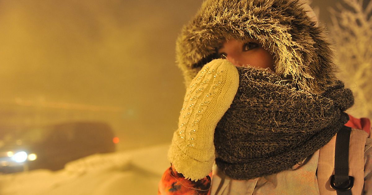 5 советов, как помочь курам пережить зиму