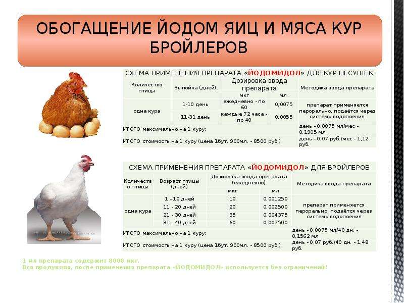 Вакцинация цыплят инструкция и прививки бройлеров