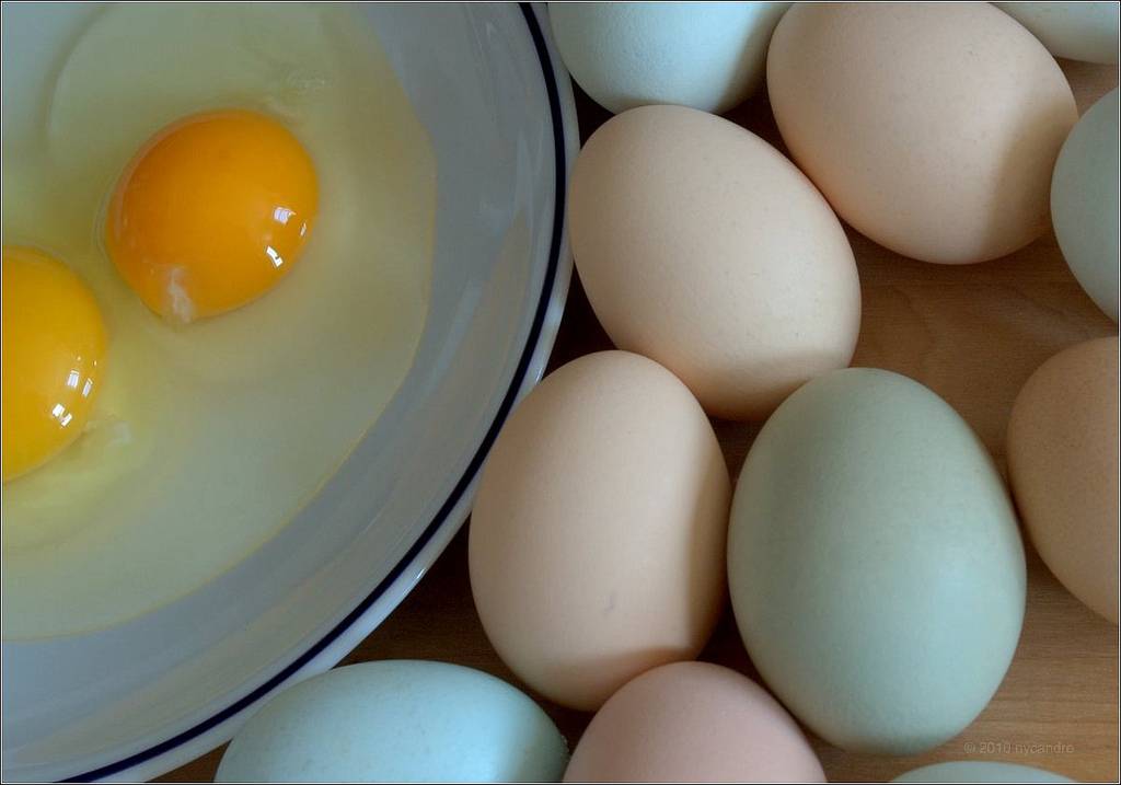 Яйца на завтрак или 7 причин кушать куриные яйца
