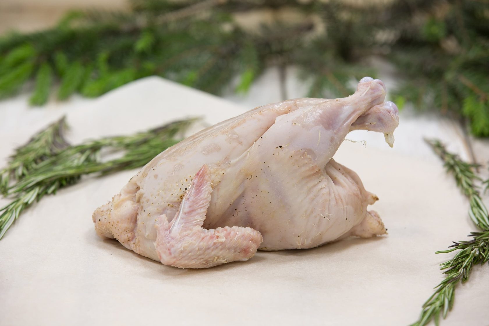 Цыплята корнишоны — что это такое?