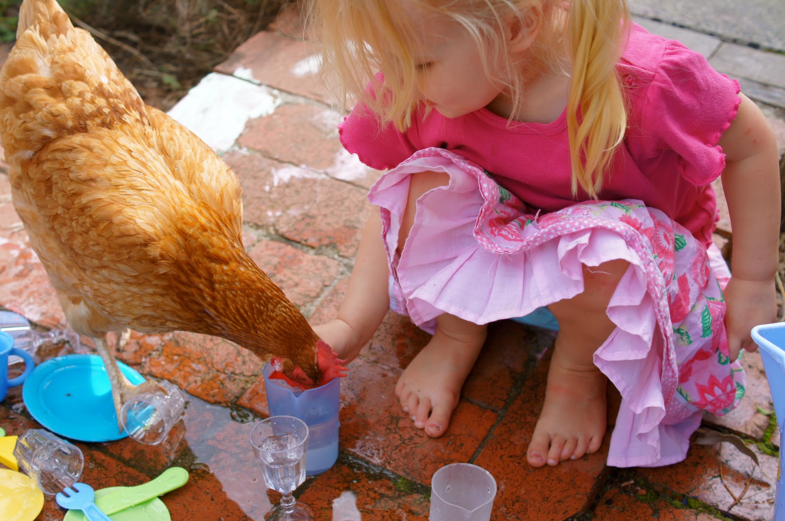 Как курица в рационе влияет на поведение детей?