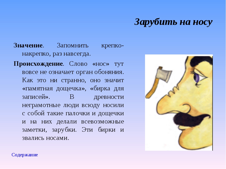 Как нарисовать фразеологизм зарубить на носу