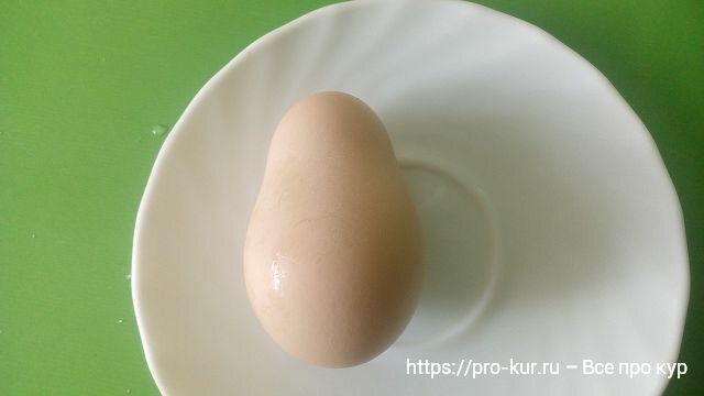 Яйцо матрешка и яйцо в форме матрешки: подарок от несушки