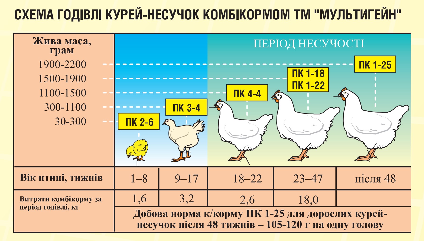 Яйценоскость кур несушек – определить и правильно кормить