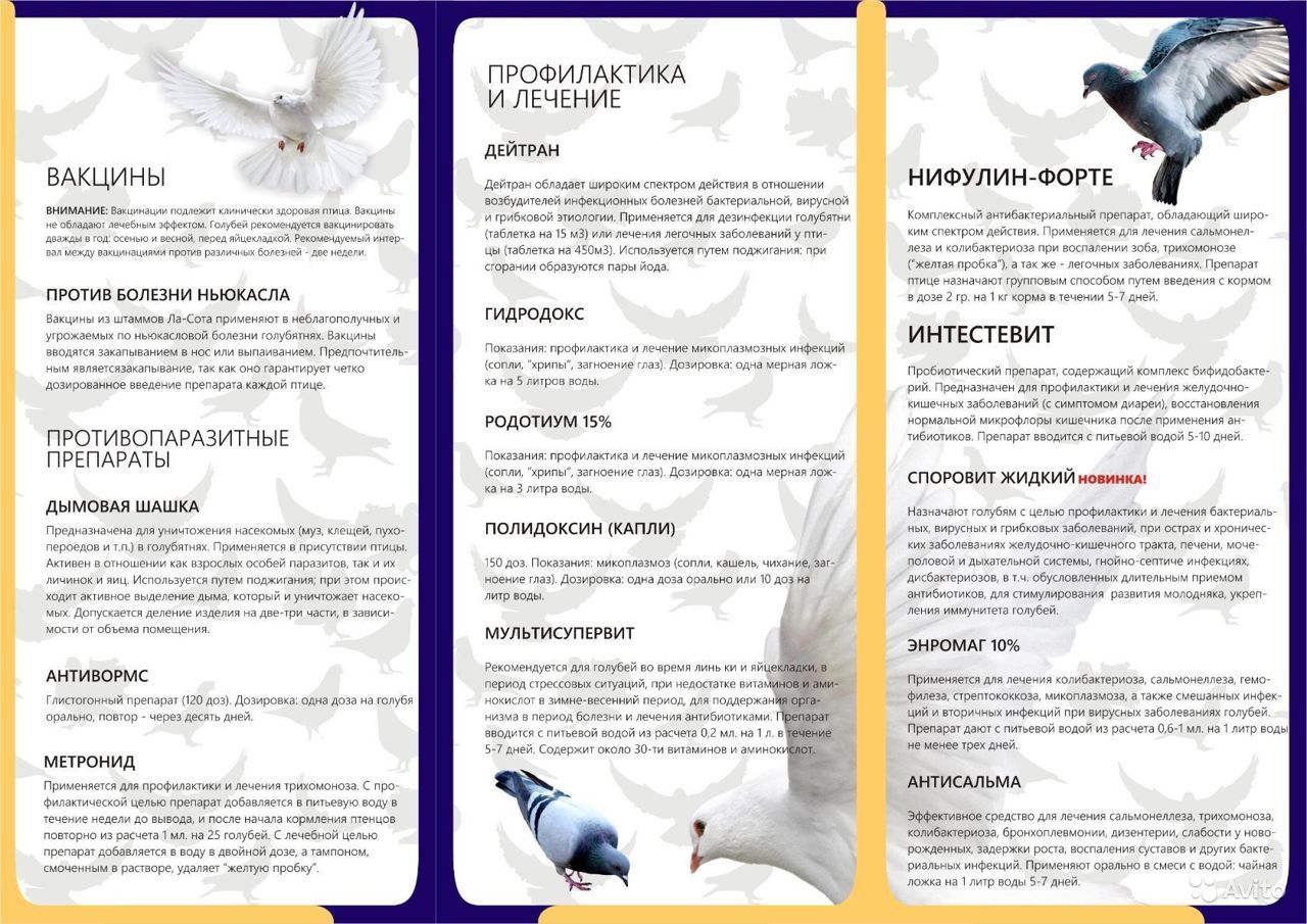 Описание и применение антибиотика Родотиум для голубей