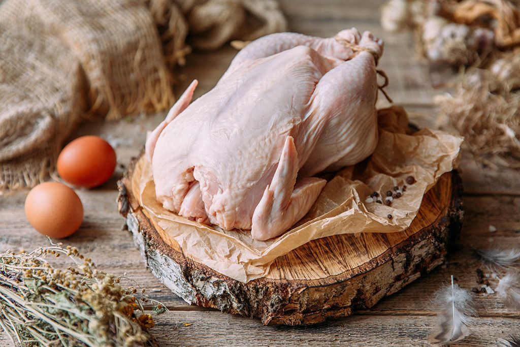 Делавэр - мясо-яичная порода кур. Описание, характеристики, содержание и уход, кормление