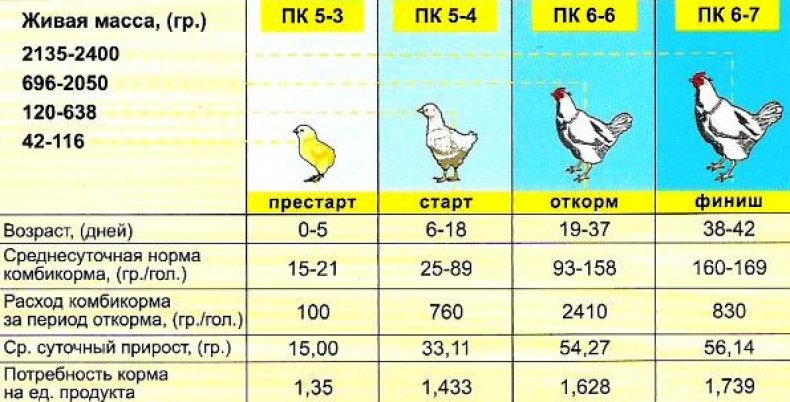 Кормление птенцов кур – рацион цыплят, нормы и правила