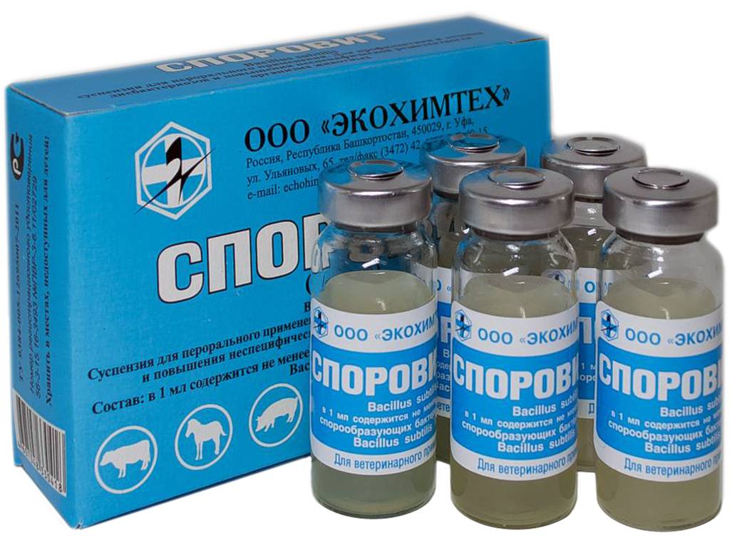 Доксилокс: инструкция по применению антибактериального препарата в ветеринарии