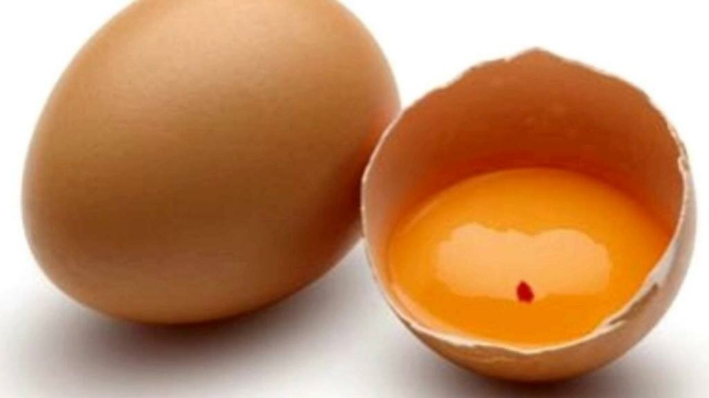 Кровь и сгустки в курином яйце: почему и можно ли его есть? Причины, меры профилактики