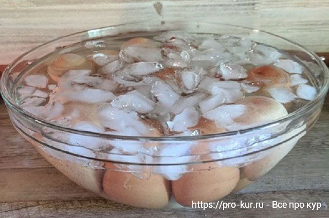 Как легко очистить свежие яйца?