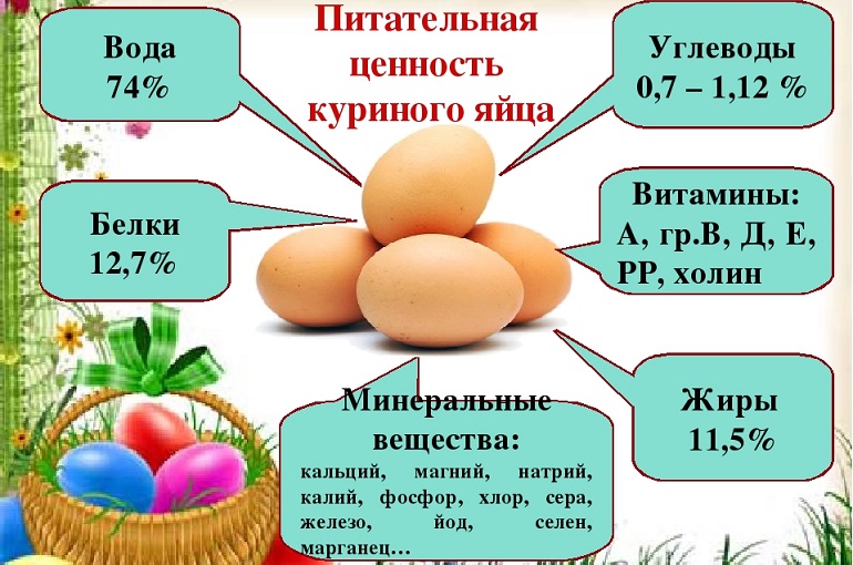 Яйца страусов – сколько они весят, как долго варятся, сколько яиц несет птица