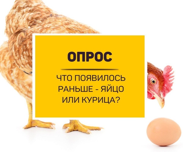 Что появилось раньше – яйцо или курица? Узнали ученые!