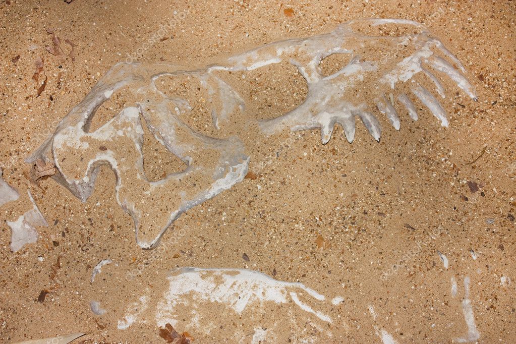 Обнаружены останки динозавра, который внешне был похож на утку
