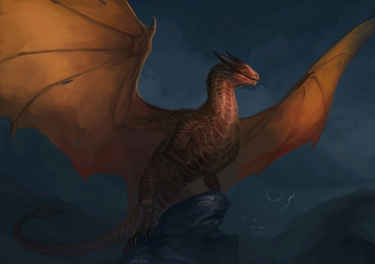 Порода голубей драконы: летные и декоративные характеристики