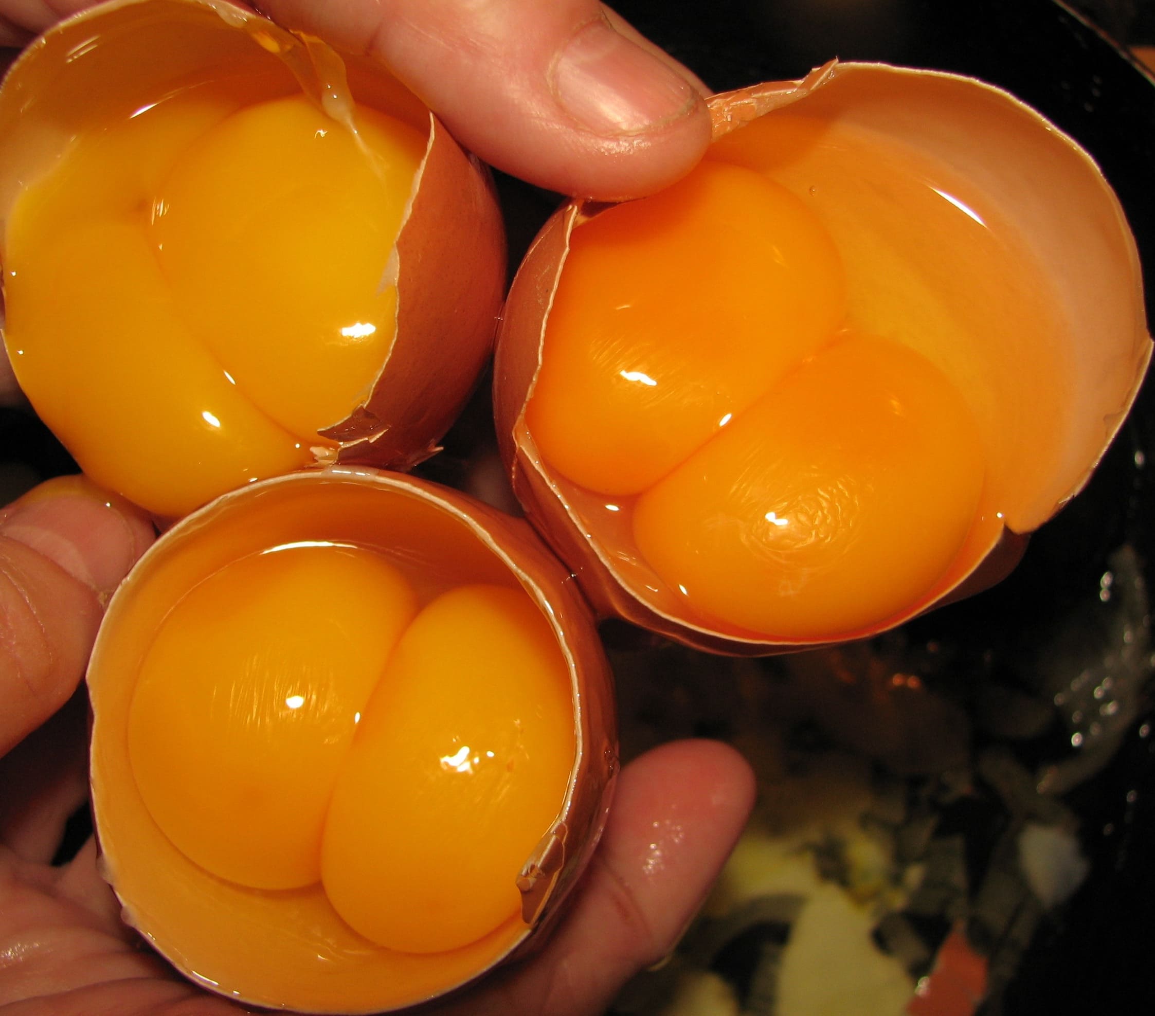 От чего зависит цвет скорлупы куриного яйца и о чем говорит цвет желтка?