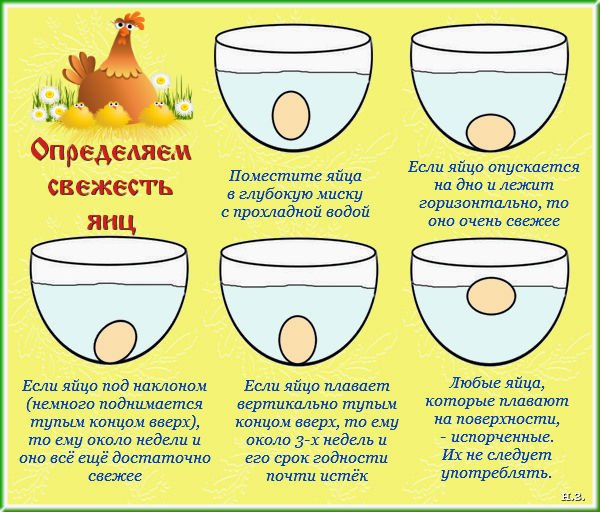 Как проверить яйца на свежесть – способы и видео