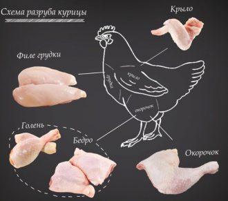 Части курицы: их названия, способы разделки тушки и необходимые инструменты