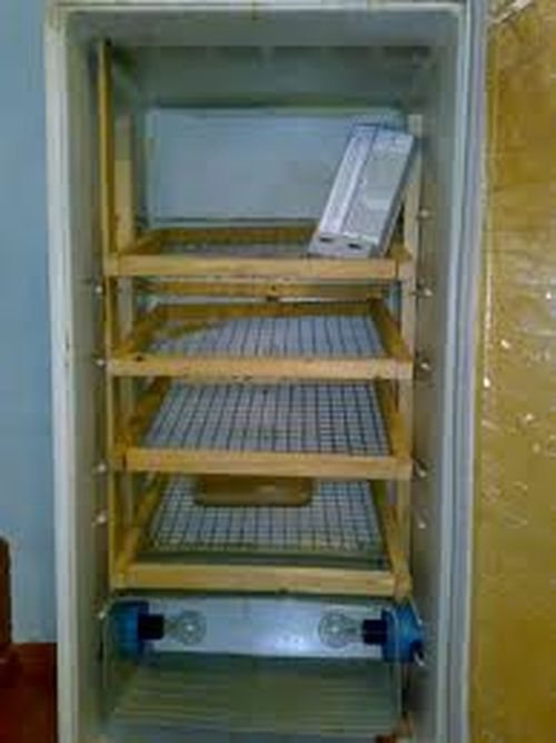 Как сделать надежный и простой инкубатор из холодильника своими руками