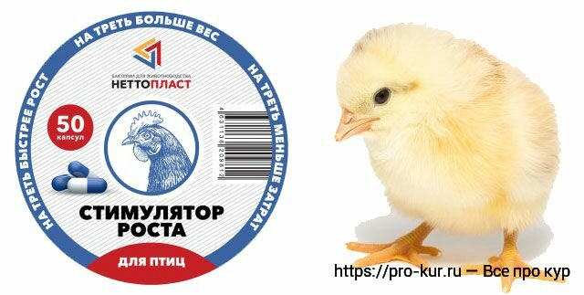 Секреты эффективного витаминного питания цыплят