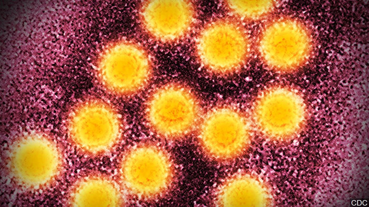 Вирусный гепатит утят