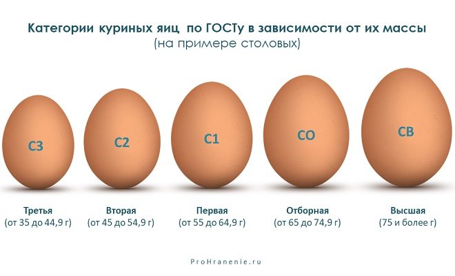 Какие яйца можно считать органическими?