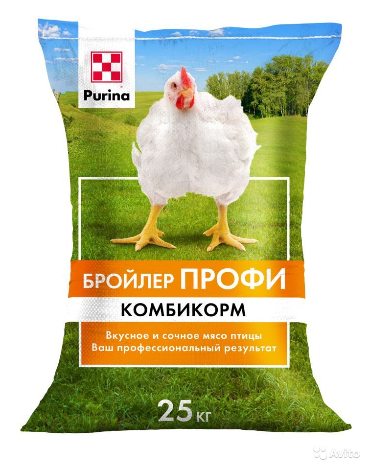 Откорм бройлерных цыплят – выбор комбикорма