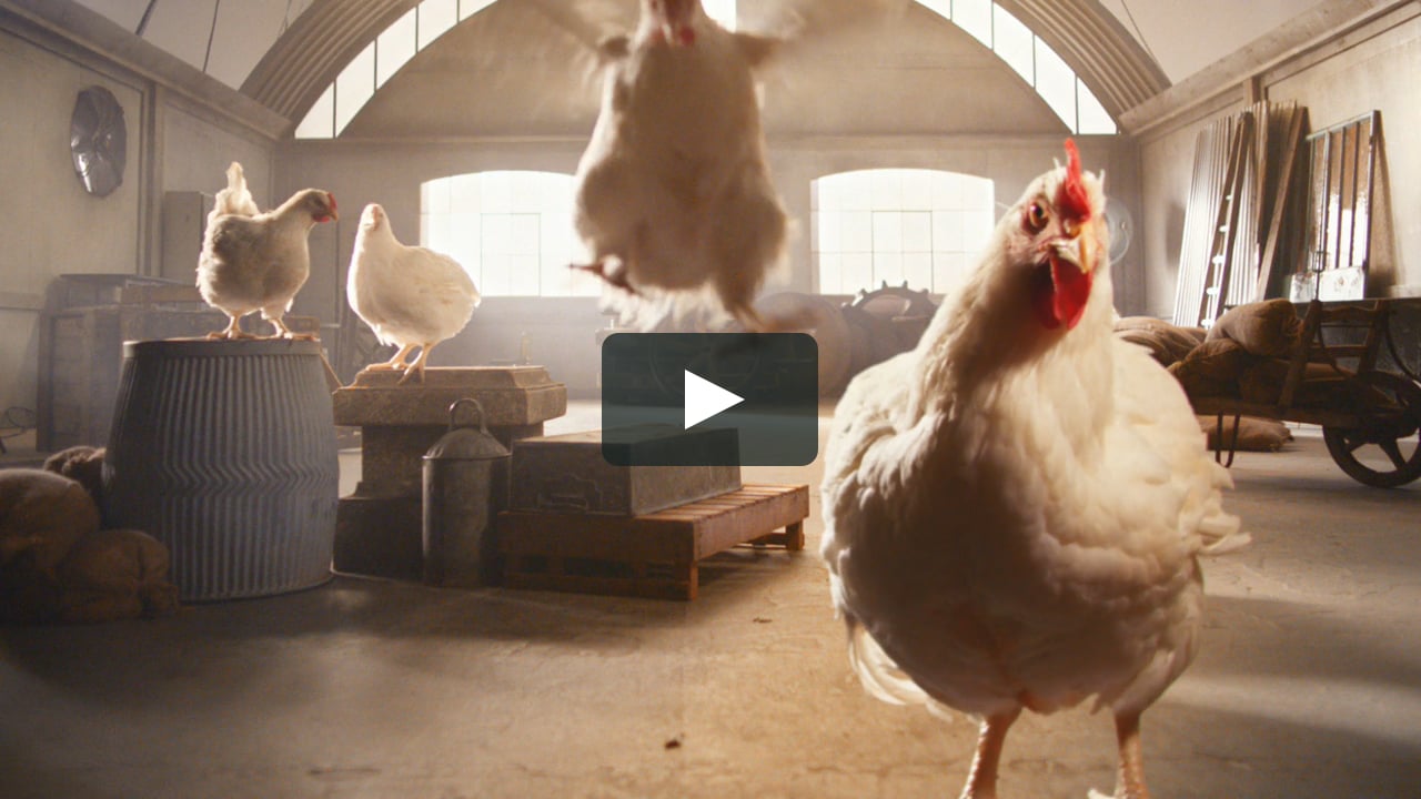 Куры в рекламе и рекламные ролики с участием курицы