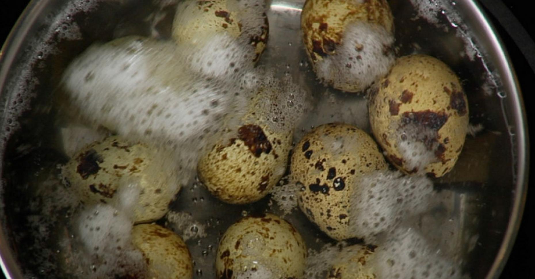 Сколько варить яйца перепелки – для получения всмятку, вкрутую