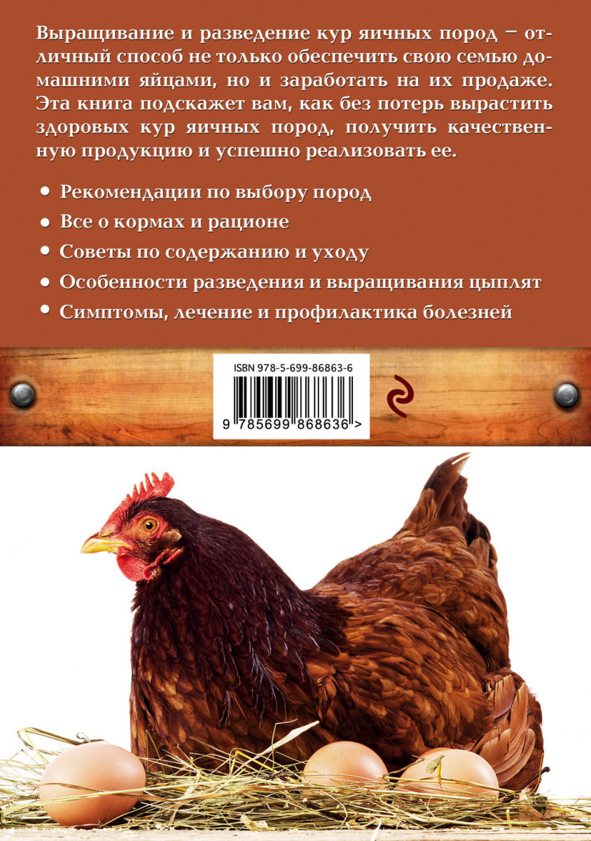 Яэрхюнс порода кур — описание с фото, характеристики