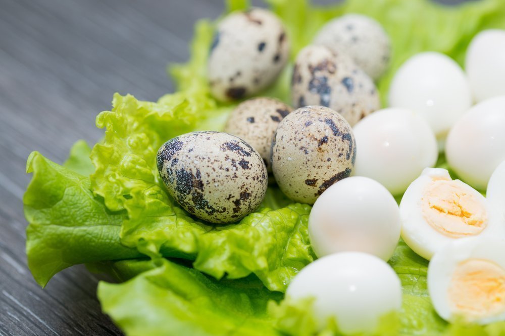 Польза и вред перепелиных яиц для детей