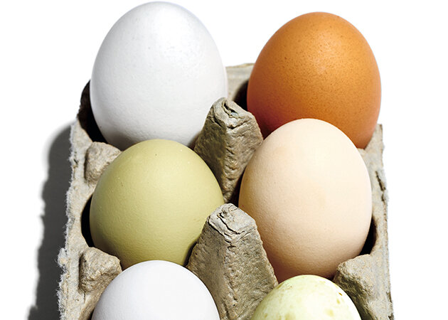 Топ-10 интересных фактов о куриных яйцах, которых вы не знали