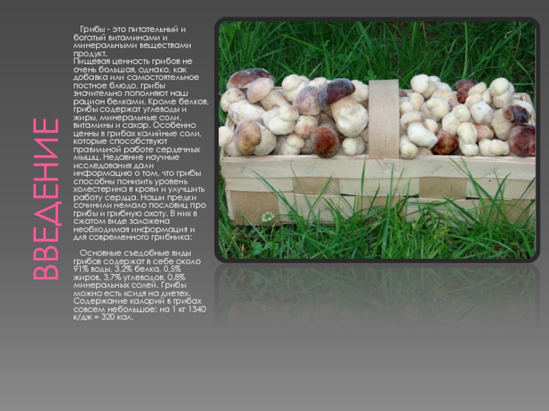 Можно ли давать курам грибы: вареные или свежие. Правила и нормы кормления
