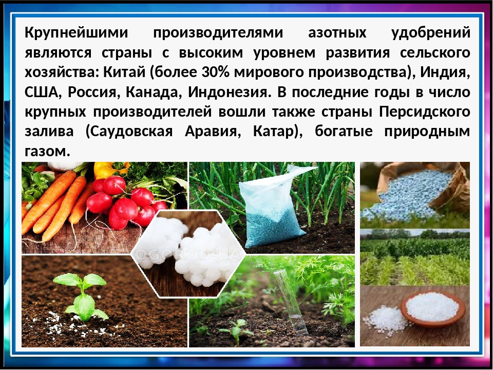 Азотные удобрения и важность азота для растений. Роль азота в жизни растений