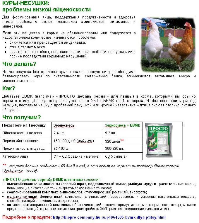 Е-селен для кур и птиц – инструкция по применению