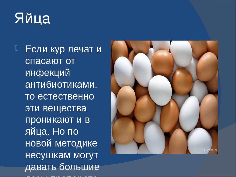 Антибиотики дают курам. Реклама яиц куриных. Презентация яйцо курица. Антибиотики в курином яйце.