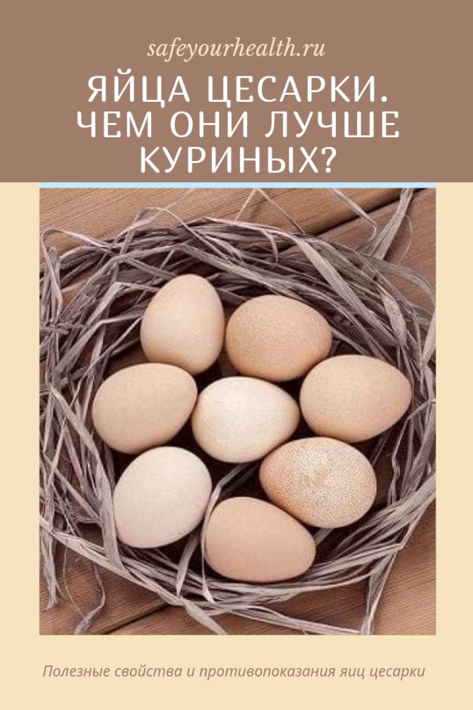 Диетические и гипоаллергенные яйца цесарок: польза и вред