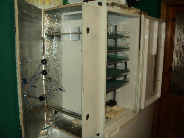 Как сделать надежный и простой инкубатор из холодильника своими руками
