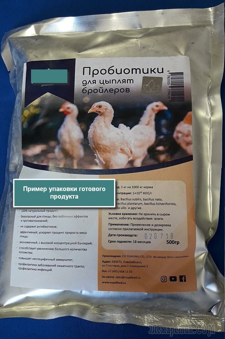 Пробиотики для кур несушек, бройлеров и цыплят: что это такое и как давать