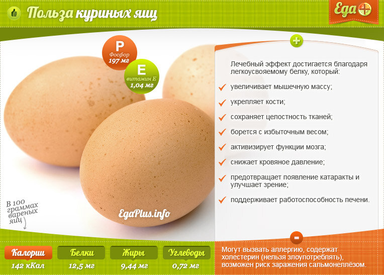 12 фактов о гусиных яйцах