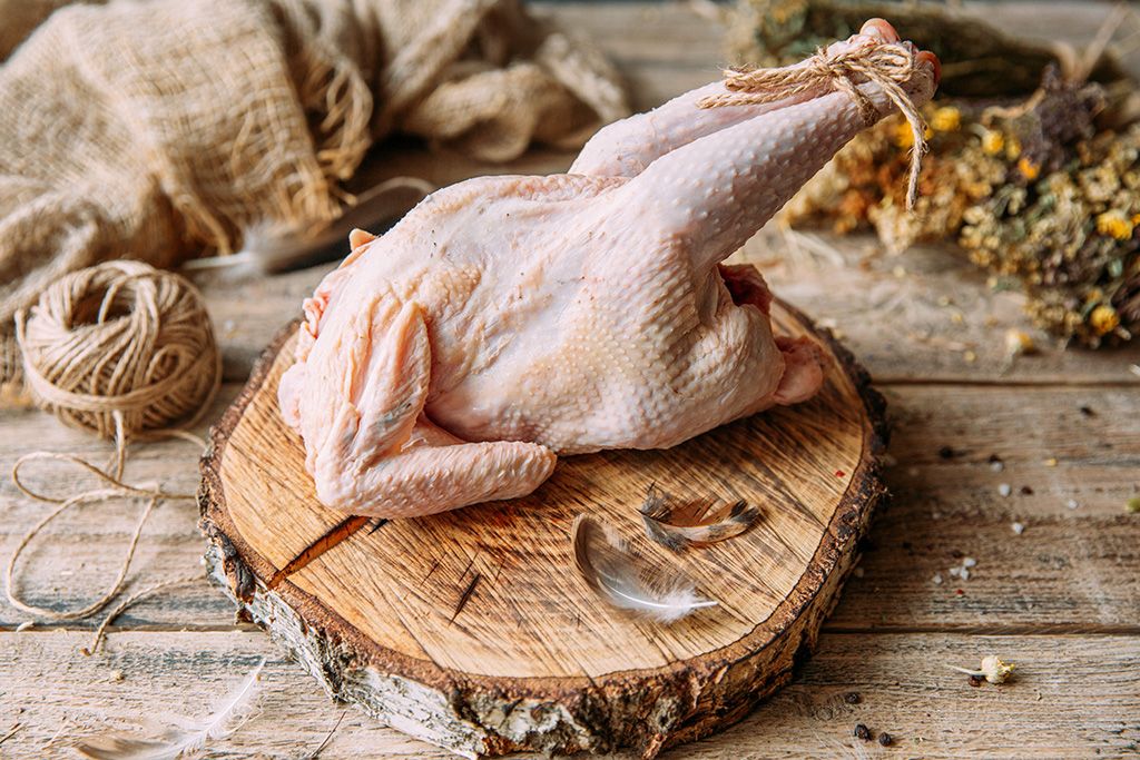 Делавэр - мясо-яичная порода кур. Описание, характеристики, содержание и уход, кормление
