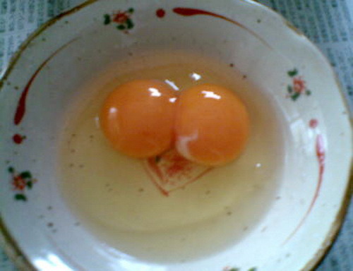 Яйца с двумя желтками – это нормально!