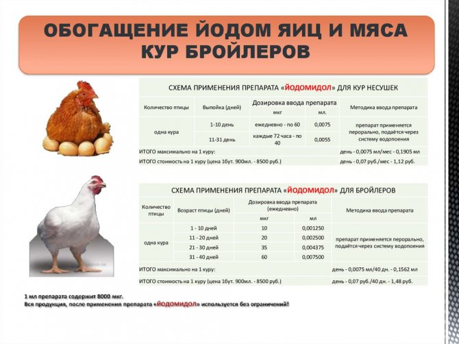 Аптечка для бройлеров и цыплят: какие лекарства должны быть, инструкция по применению