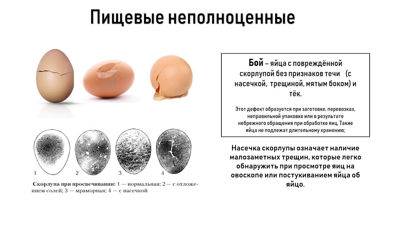 Почему куры несут мелкие яйца и что с этим делать? Причины, лечение, профилактика, препараты